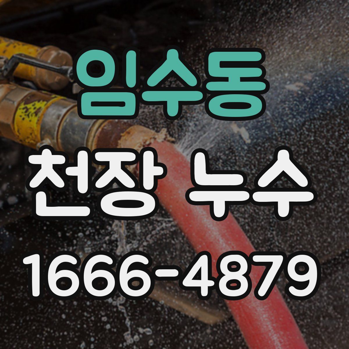 임수동 천장 누수