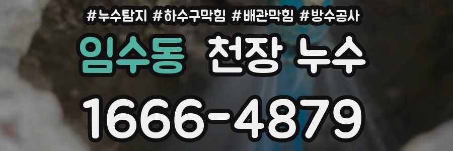 임수동 천장 누수