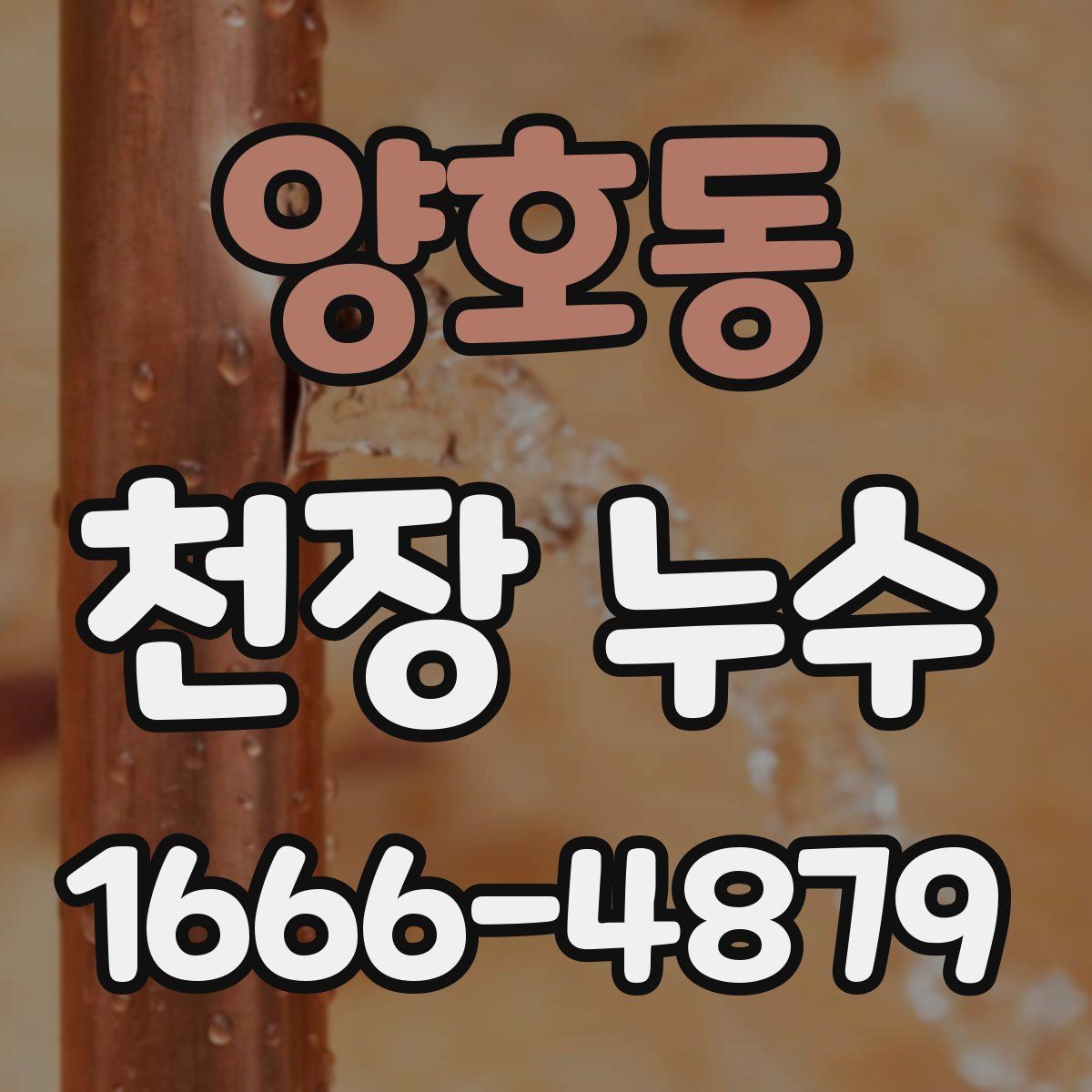양호동 천장 누수