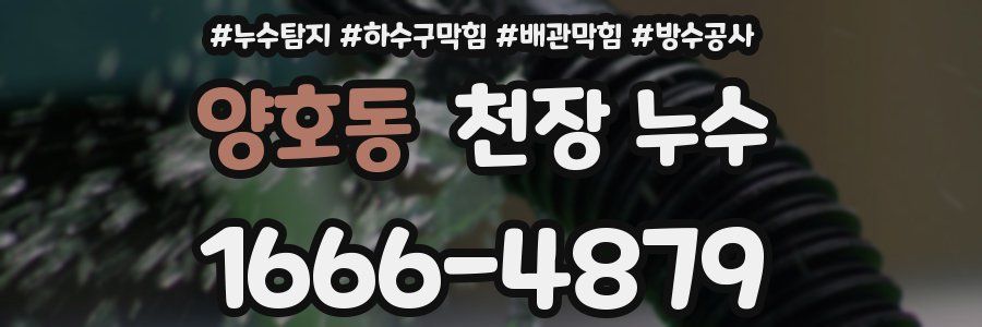 양호동 천장 누수