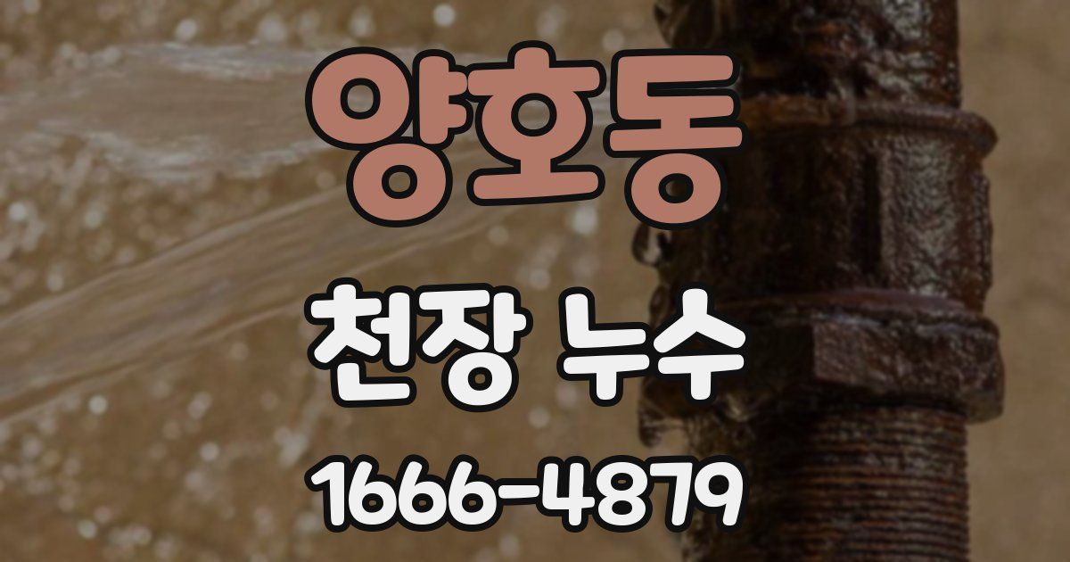 양호동 천장 누수