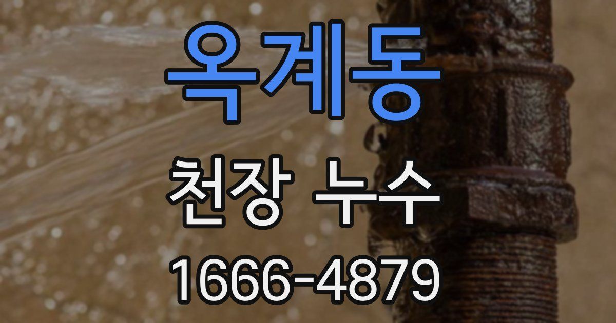 옥계동 천장 누수