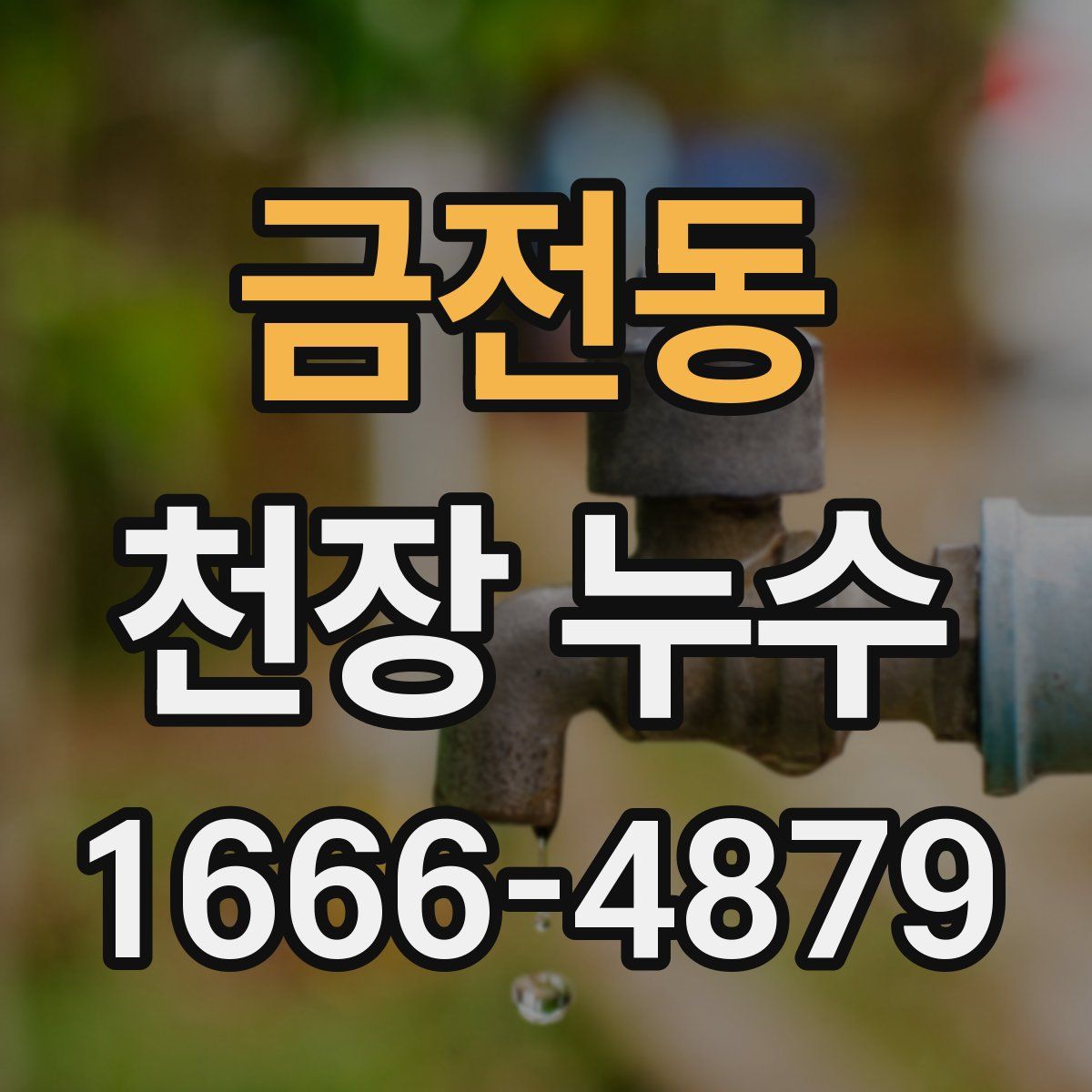 금전동 천장 누수
