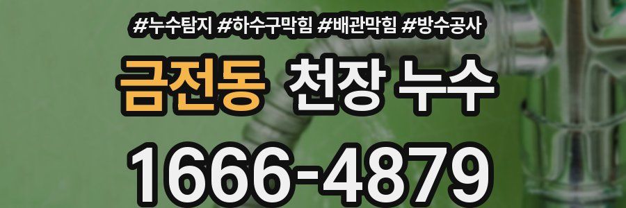 금전동 천장 누수