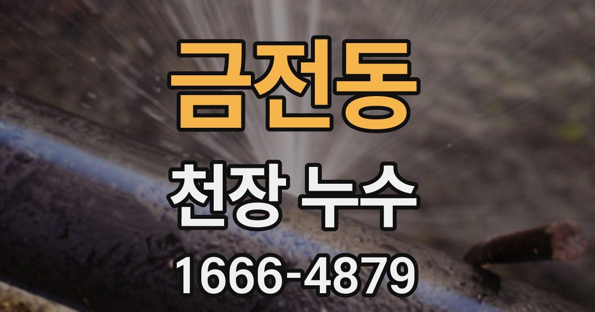 금전동 천장 누수