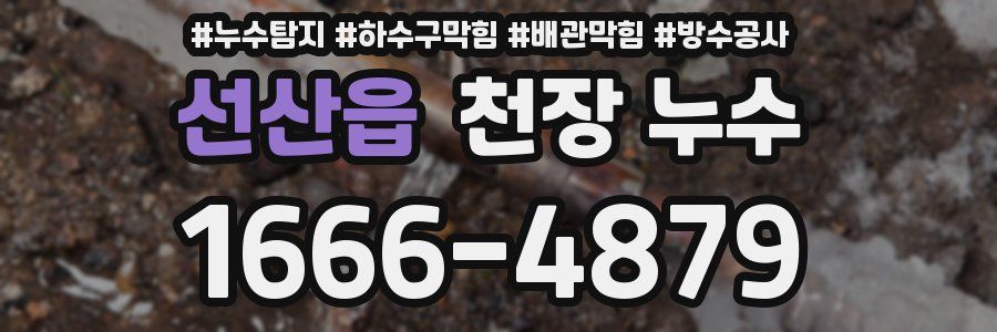 선산읍 천장 누수