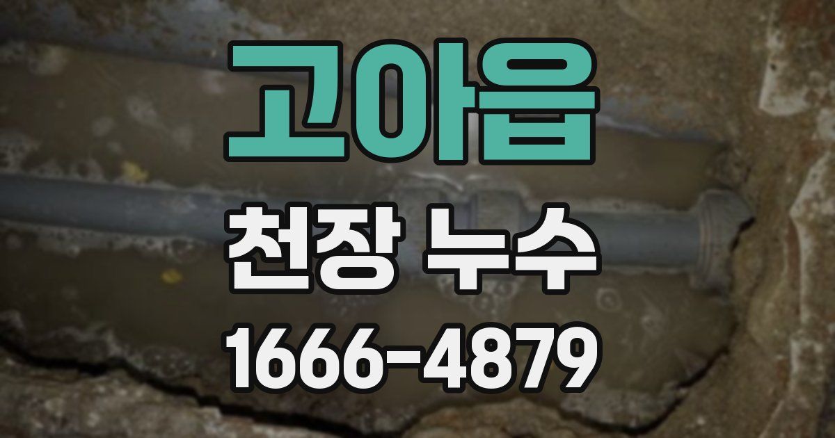 고아읍 천장 누수