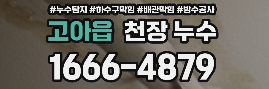 고아읍 천장 누수
