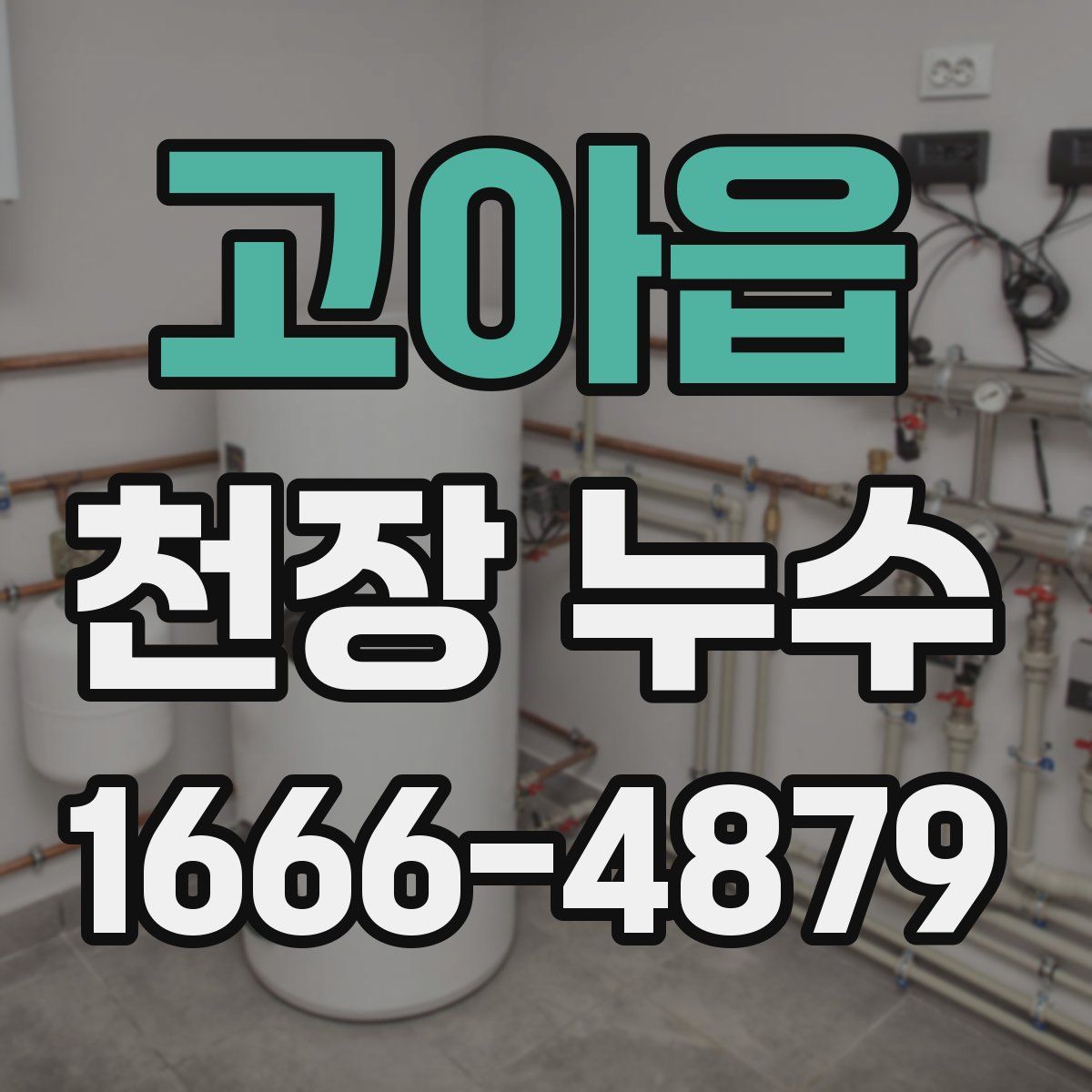 고아읍 천장 누수