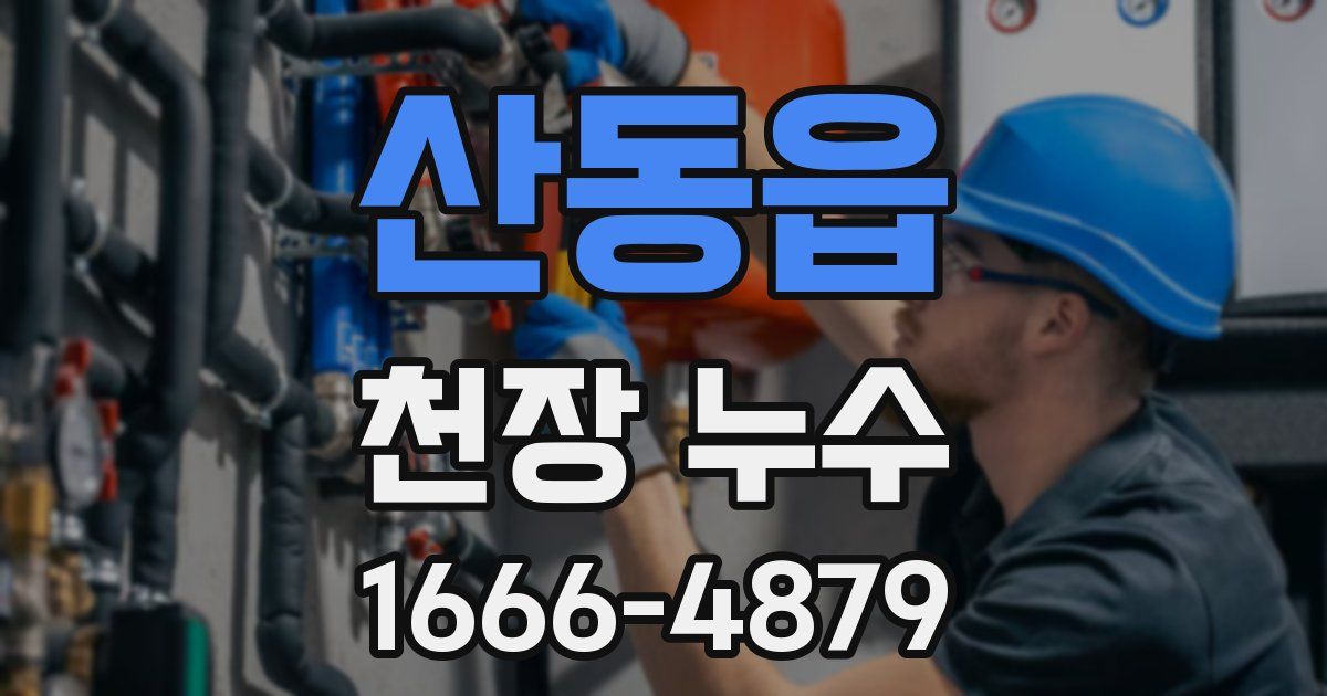 산동읍 천장 누수