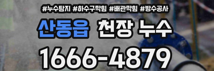 산동읍 천장 누수