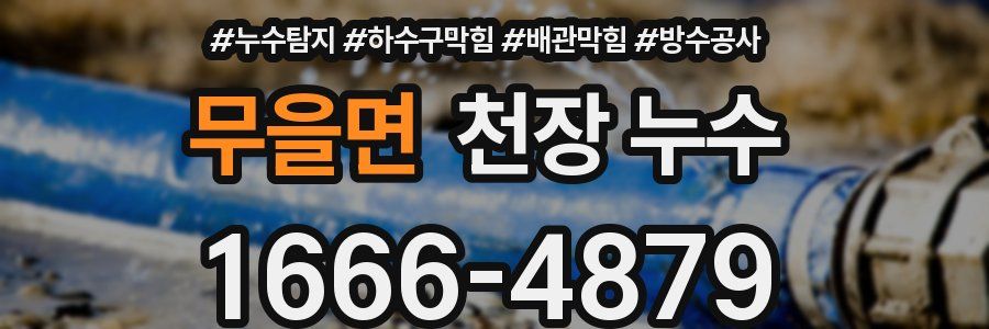 무을면 천장 누수
