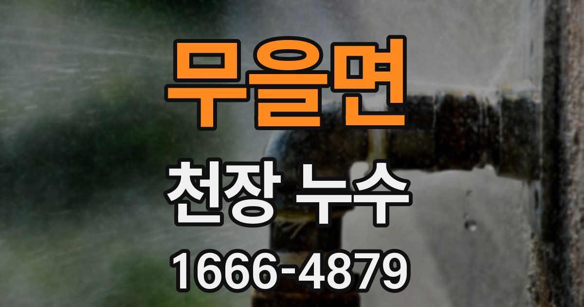 무을면 천장 누수