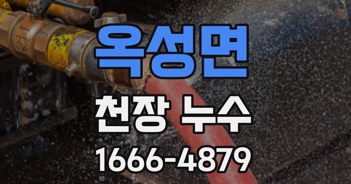 옥성면 천장 누수
