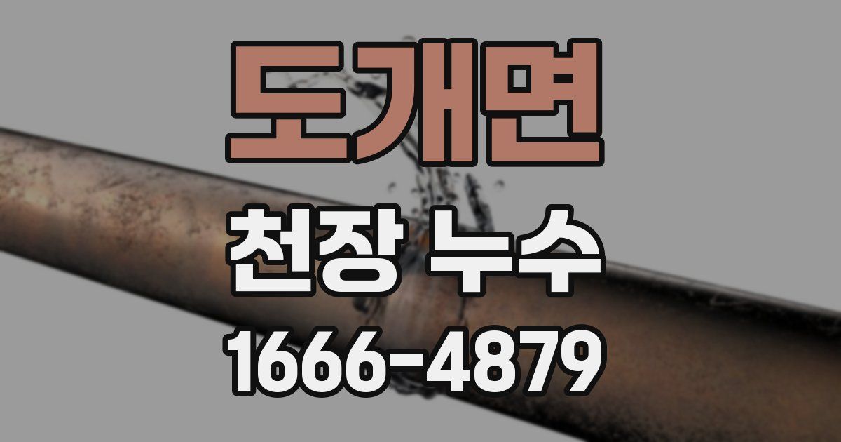 도개면 천장 누수