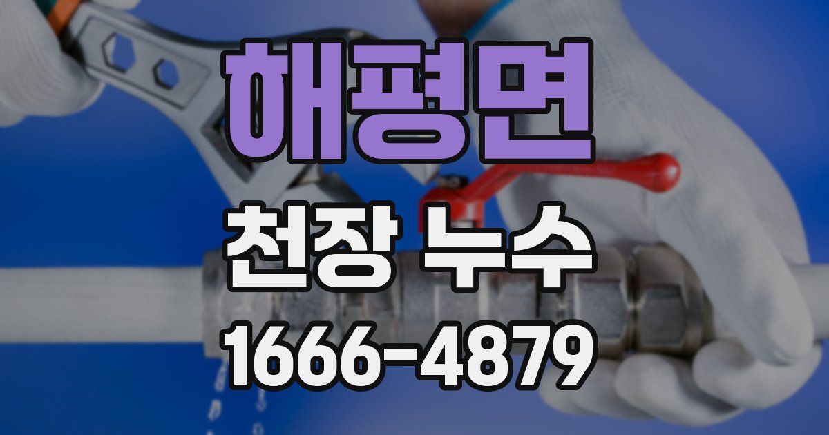 해평면 천장 누수