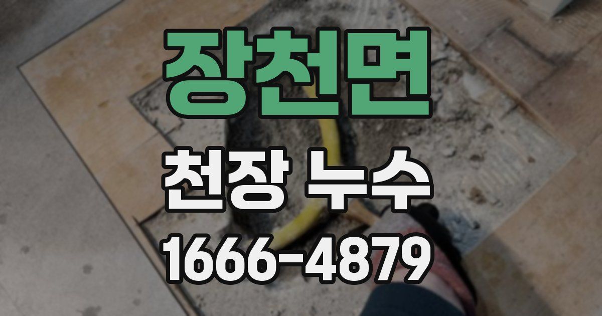 장천면 천장 누수