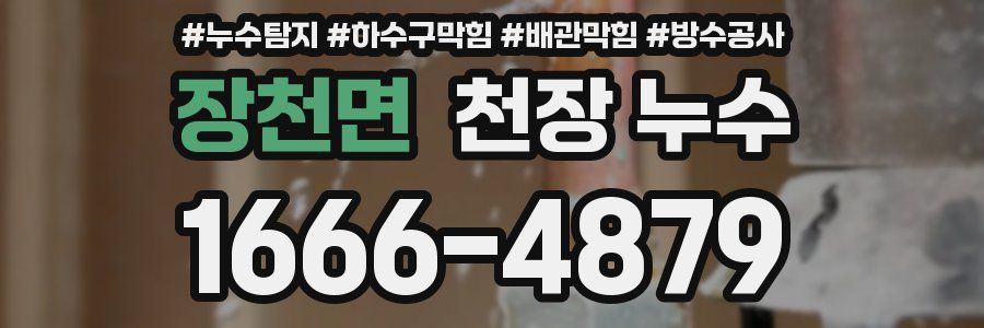 장천면 천장 누수