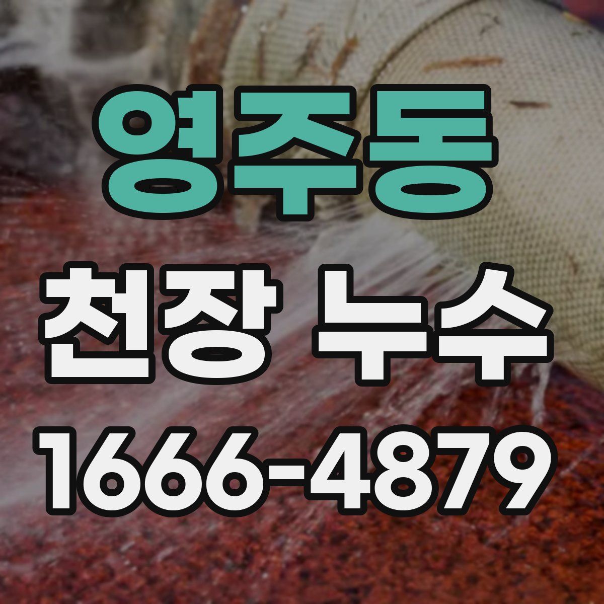 영주동 천장 누수