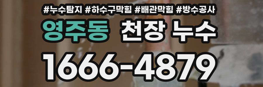 영주동 천장 누수