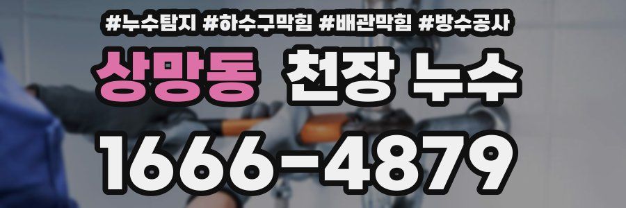 상망동 천장 누수