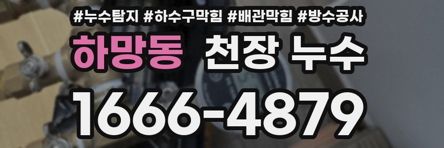 하망동 천장 누수
