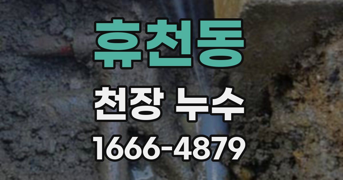 휴천동 천장 누수