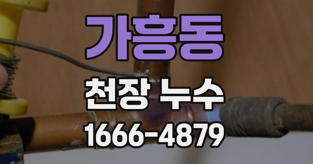가흥동 천장 누수