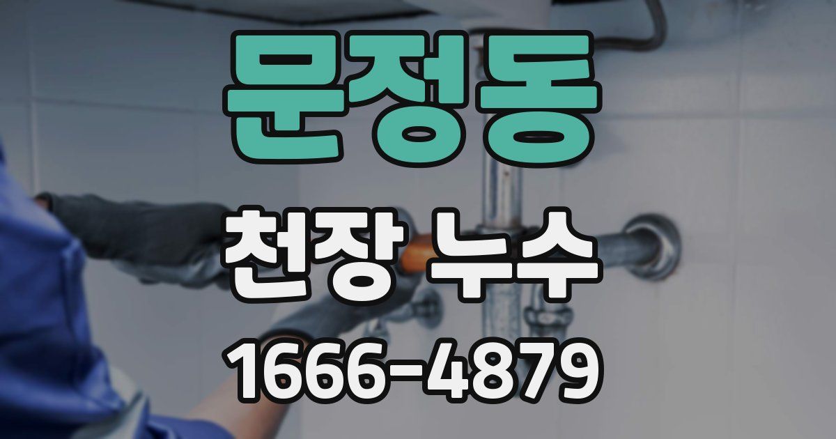 문정동 천장 누수