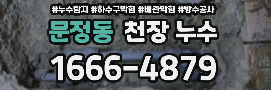 문정동 천장 누수