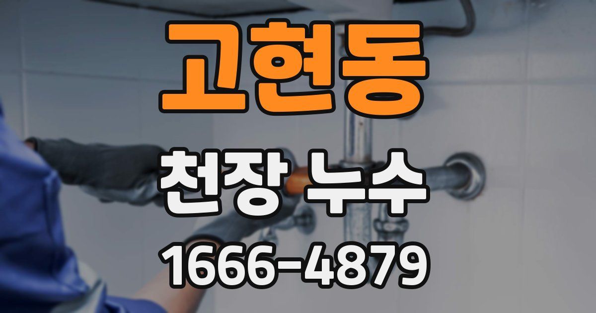 고현동 천장 누수