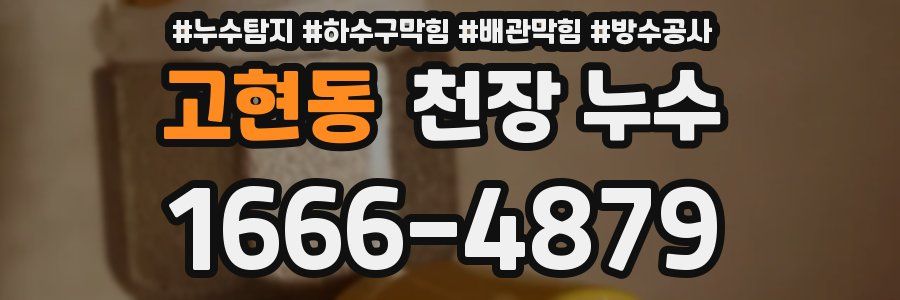 고현동 천장 누수