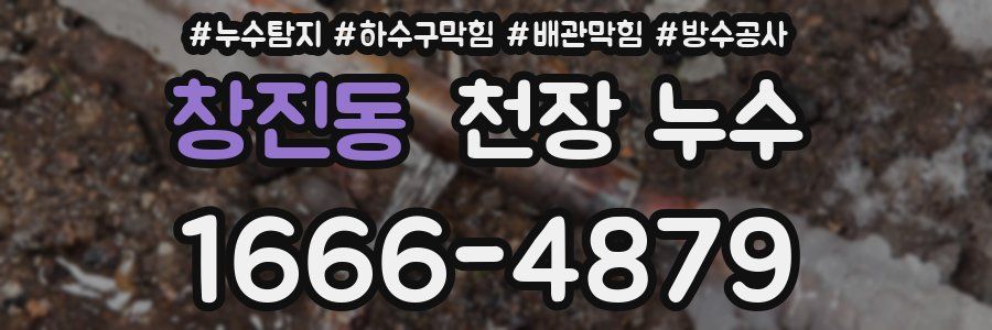 창진동 천장 누수