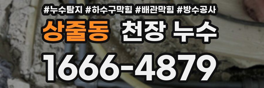 상줄동 천장 누수
