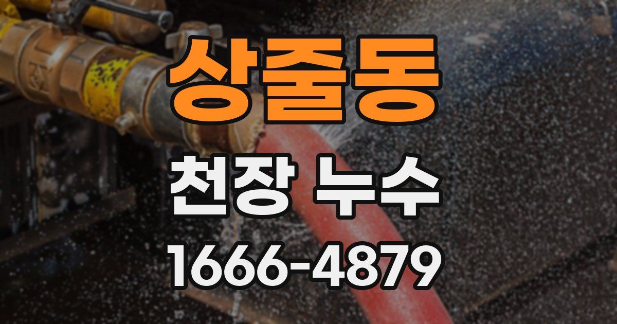 상줄동 천장 누수