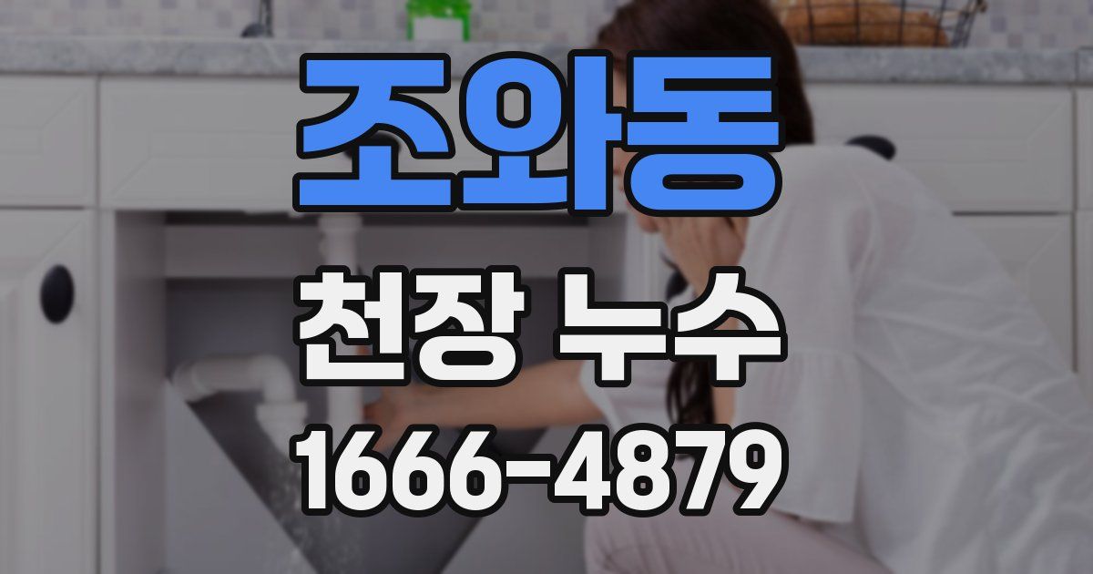 조와동 천장 누수