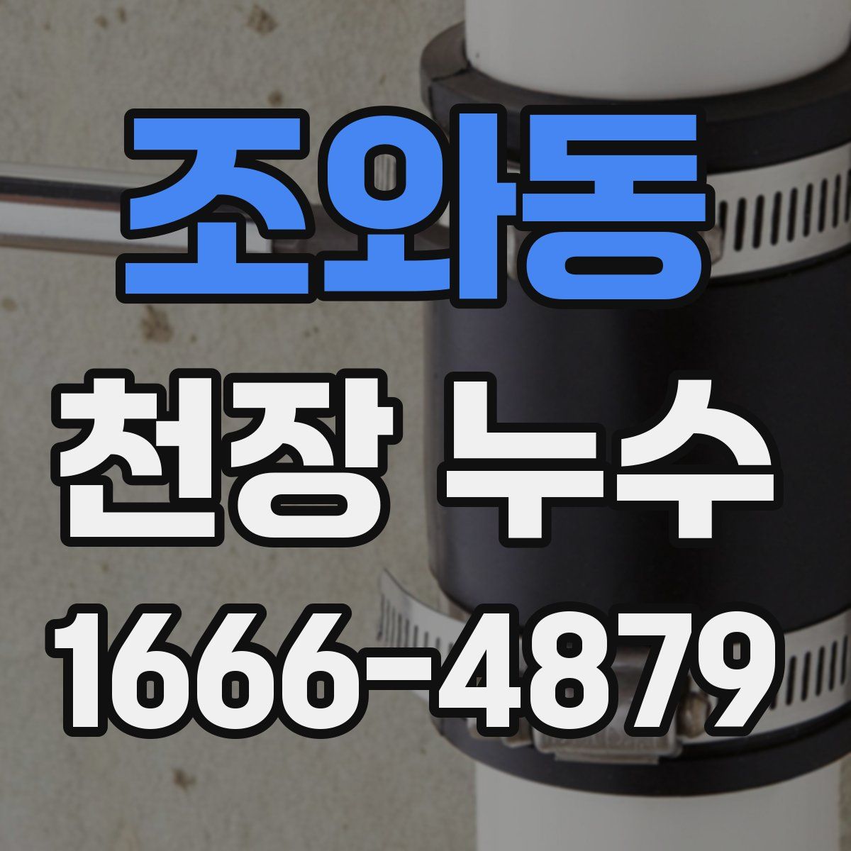 조와동 천장 누수