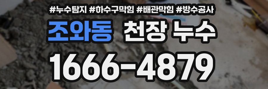 조와동 천장 누수