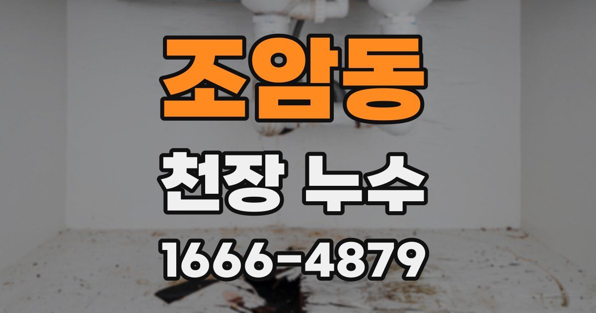 조암동 천장 누수