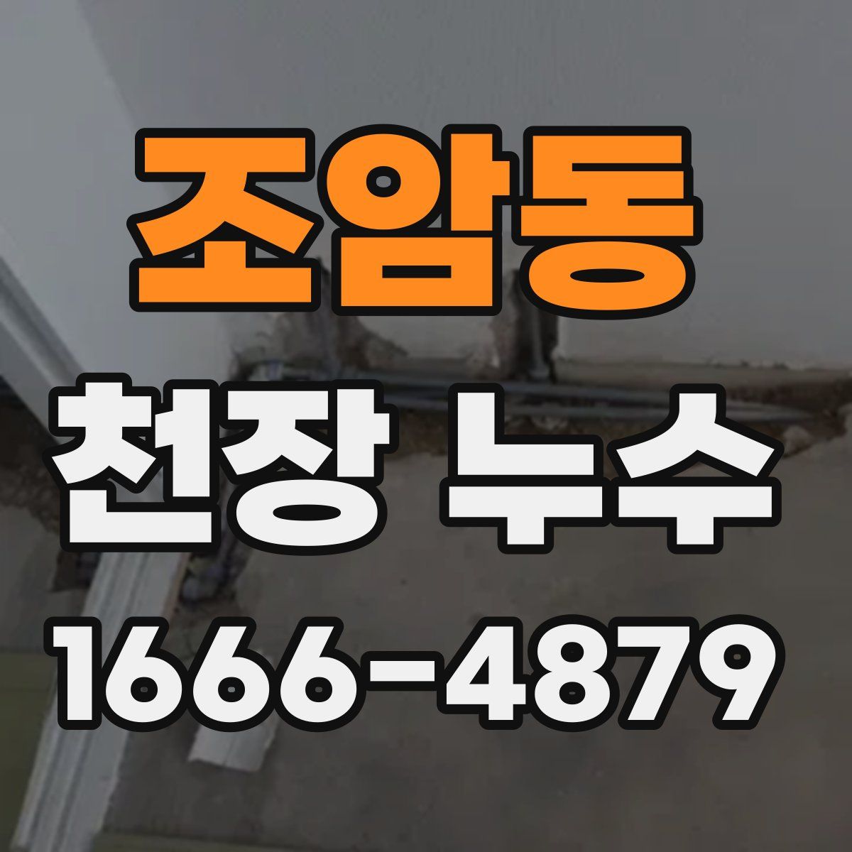 조암동 천장 누수