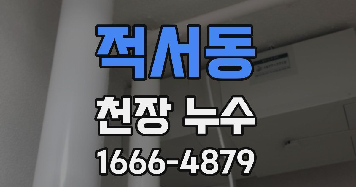 적서동 천장 누수