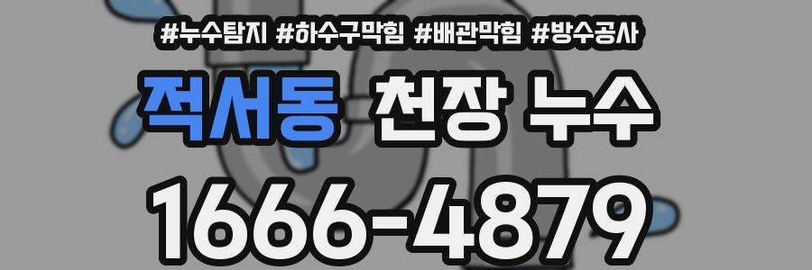 적서동 천장 누수