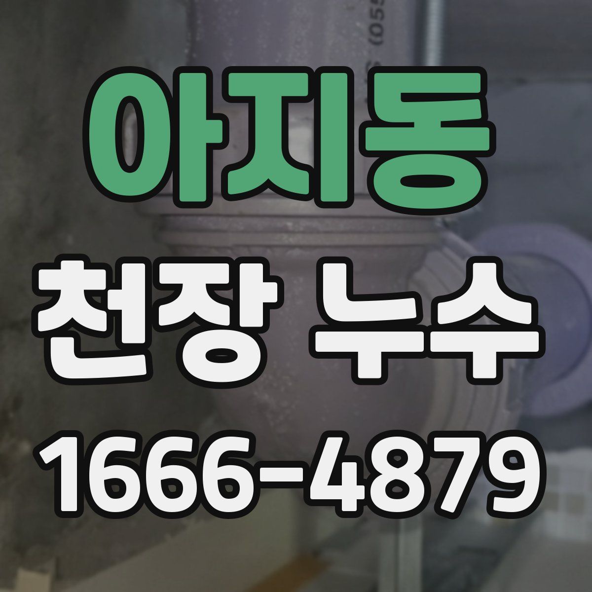 아지동 천장 누수