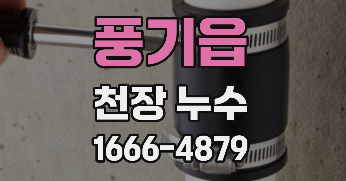 풍기읍 천장 누수