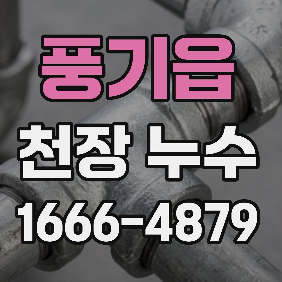 풍기읍 천장 누수