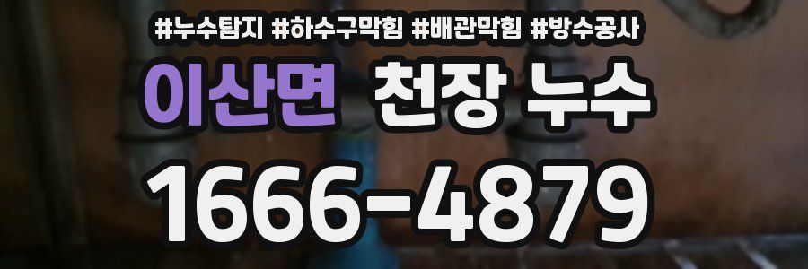 이산면 천장 누수