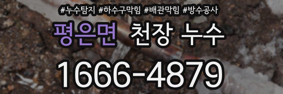 평은면 천장 누수
