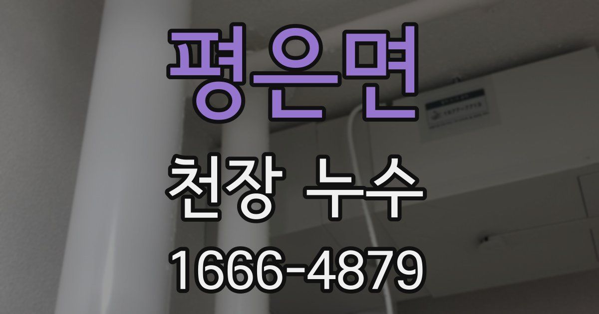 평은면 천장 누수