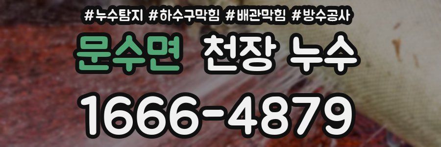 문수면 천장 누수