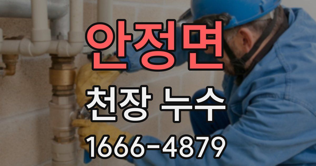 안정면 천장 누수